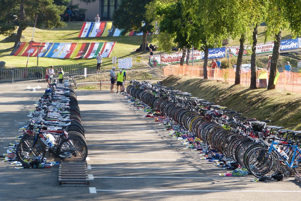 die Ruhe vor dem Sturm im Wechselgarten